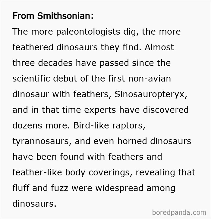 Dinosaurs Weren’t Just Scaly Reptiles — Some Had Feathers!