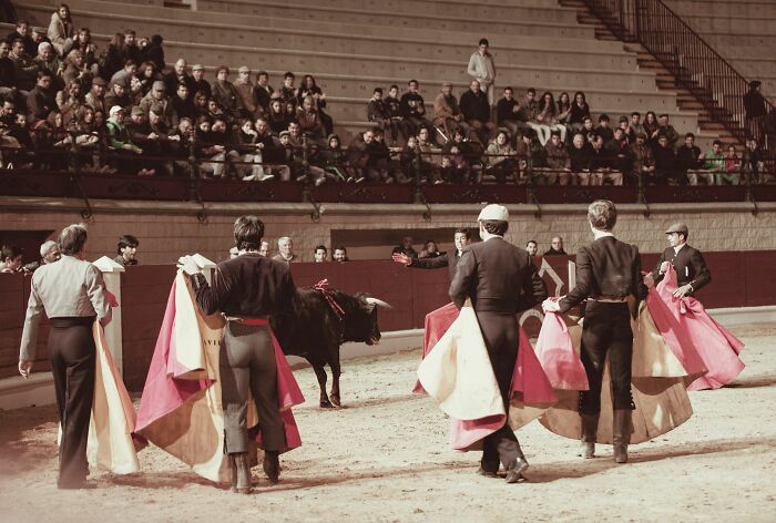 Bulls Don’t Actually Hate The Color Red