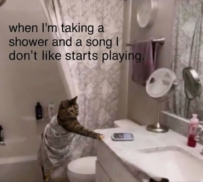 The Ultimate Funniest Cat Memes That’ll Make Your Day Way Better