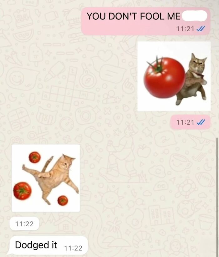 The Ultimate Funniest Cat Memes That’ll Make Your Day Way Better