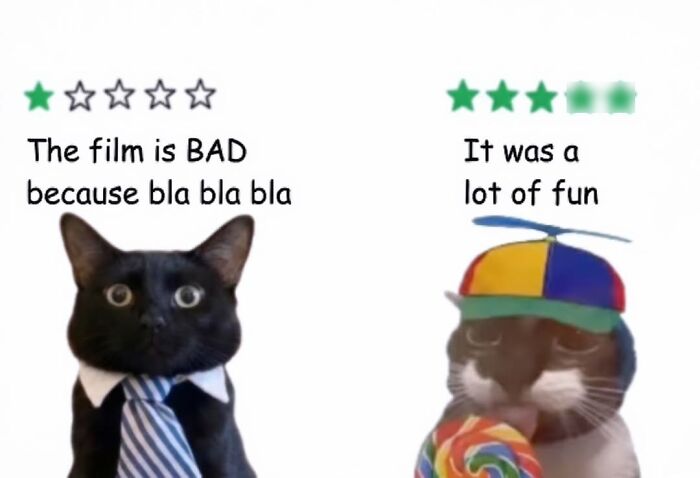The Ultimate Funniest Cat Memes That’ll Make Your Day Way Better
