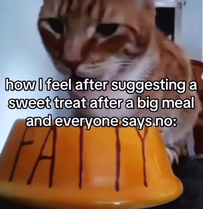 The Ultimate Funniest Cat Memes That’ll Make Your Day Way Better