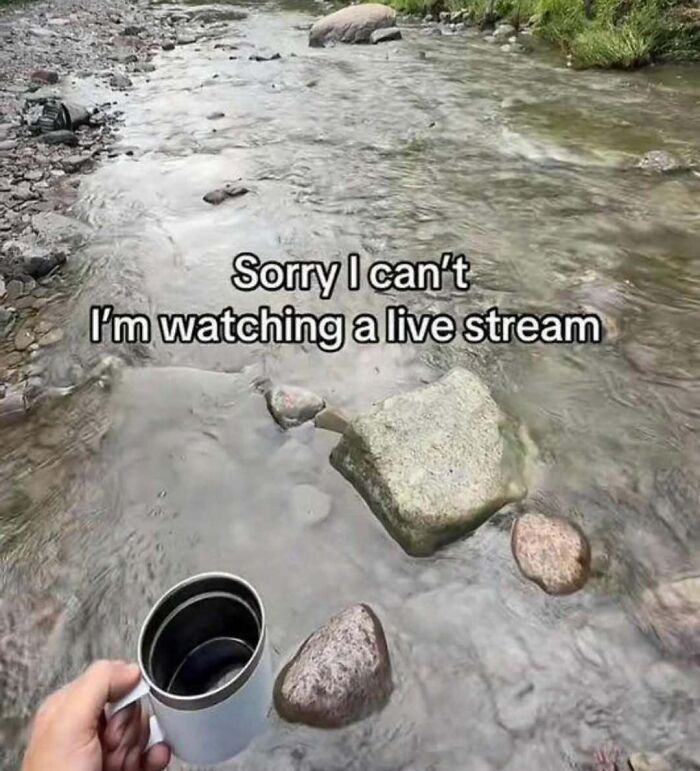 Live Streaming... Or Not?