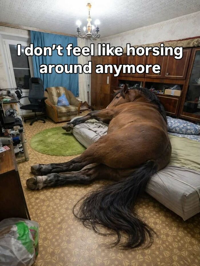 All About That Horsing Around