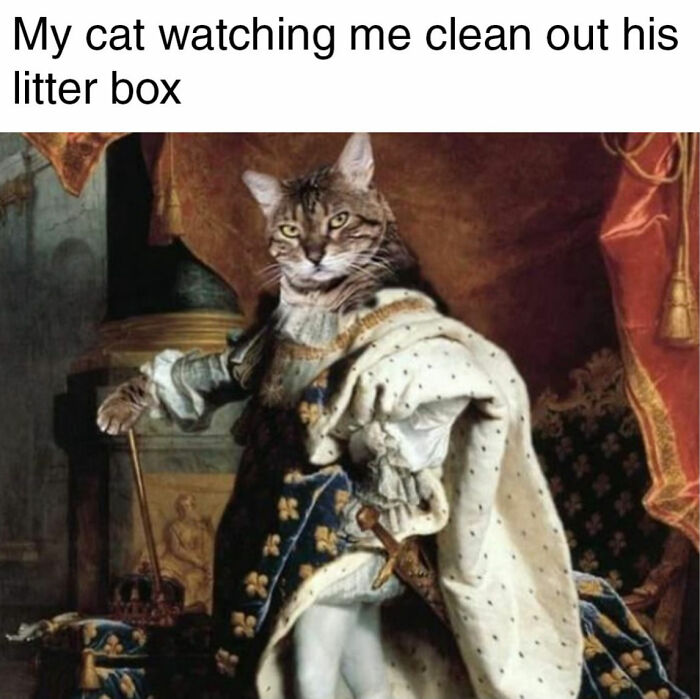 50 Classical Art Memes That Prove People Haven't Really Changed in Centuries