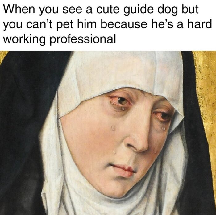 50 Classical Art Memes That Prove People Haven't Really Changed in Centuries
