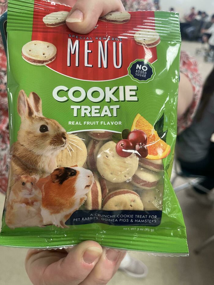 Lunchbox Surprise: Snack Or Nah?