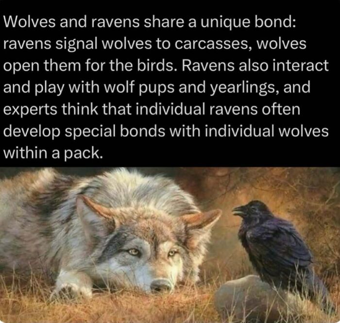 73 Animal Facts That Will Totally Blow Your Mind (No Joke)