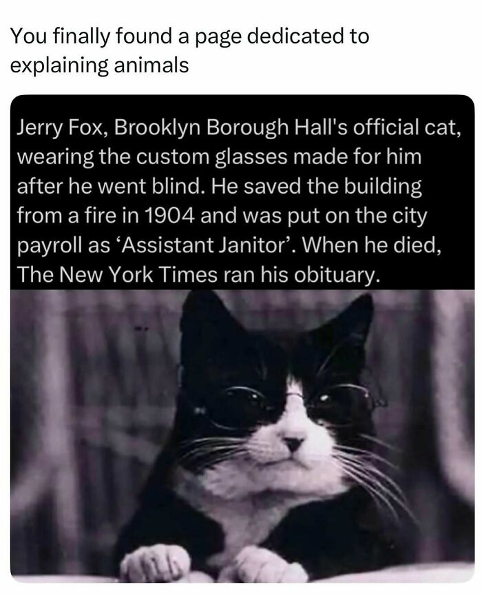 73 Animal Facts That Will Totally Blow Your Mind (No Joke)