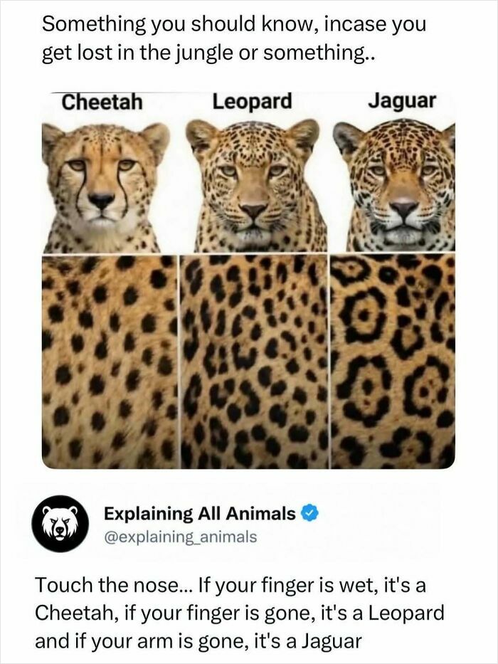 73 Animal Facts That Will Totally Blow Your Mind (No Joke)