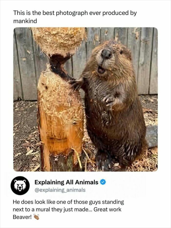 73 Animal Facts That Will Totally Blow Your Mind (No Joke)