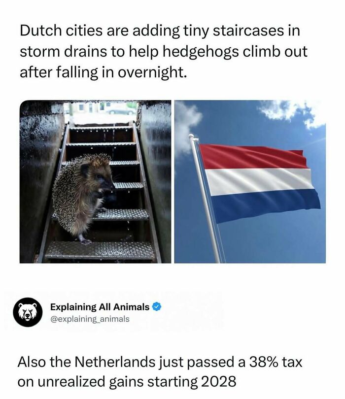 73 Animal Facts That Will Totally Blow Your Mind (No Joke)