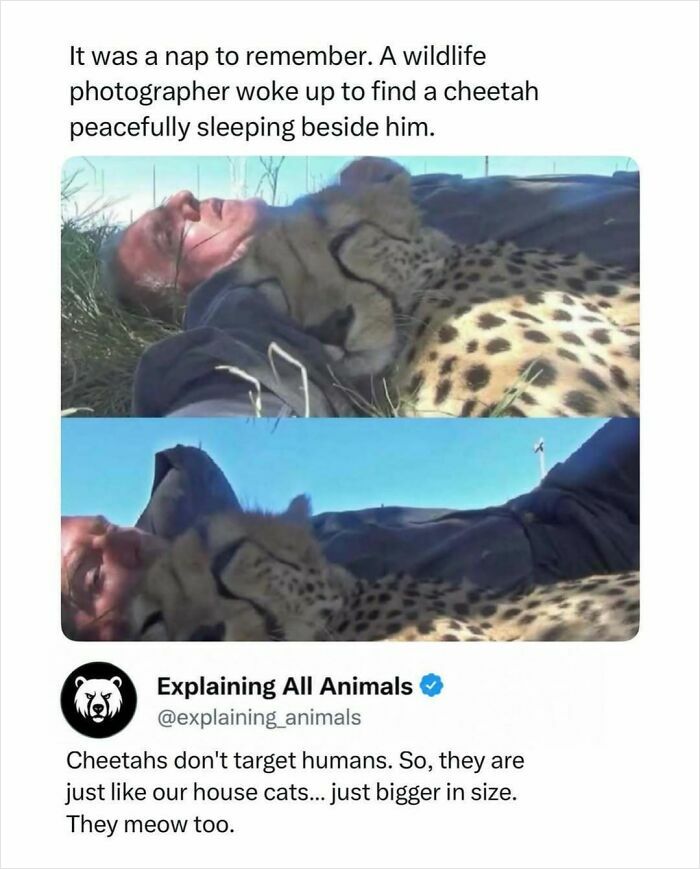 73 Animal Facts That Will Totally Blow Your Mind (No Joke)