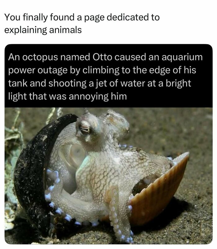 73 Animal Facts That Will Totally Blow Your Mind (No Joke)