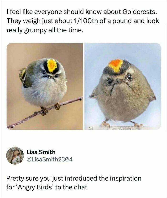 73 Animal Facts That Will Totally Blow Your Mind (No Joke)