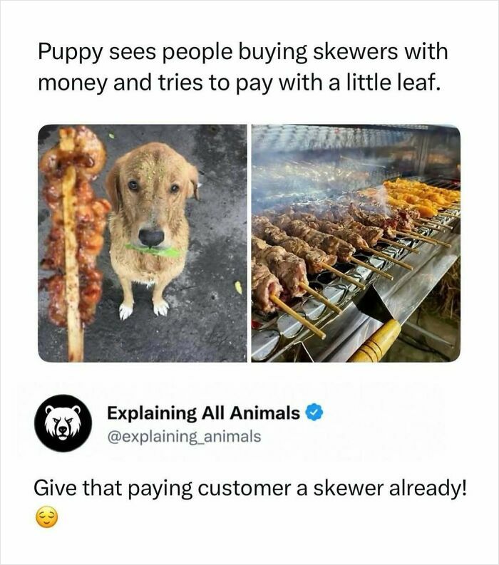 73 Animal Facts That Will Totally Blow Your Mind (No Joke)