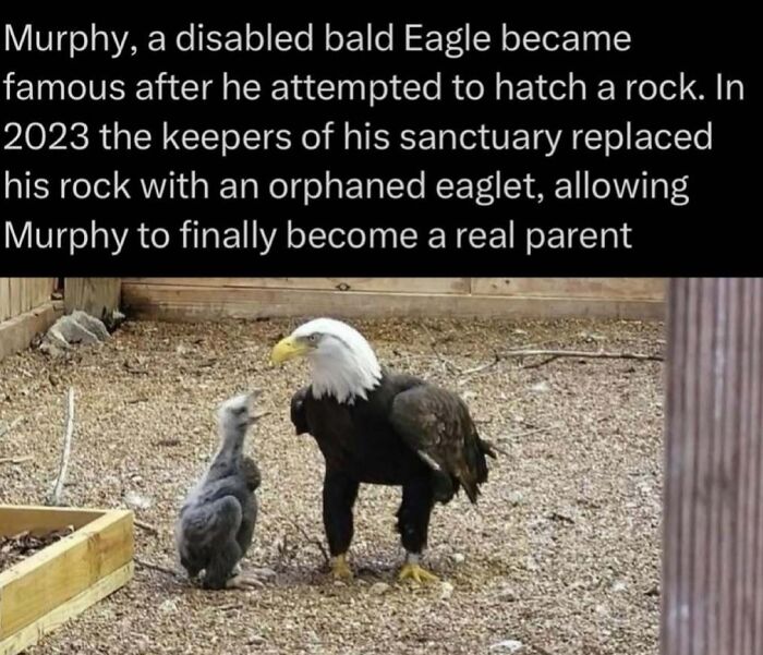 73 Animal Facts That Will Totally Blow Your Mind (No Joke)
