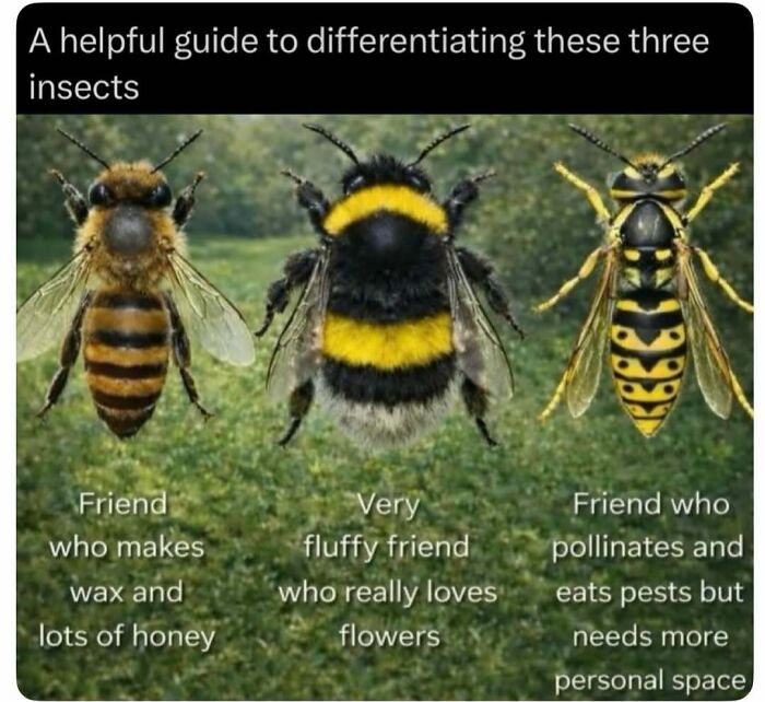 73 Animal Facts That Will Totally Blow Your Mind (No Joke)