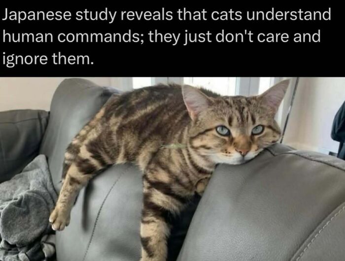 73 Animal Facts That Will Totally Blow Your Mind (No Joke)