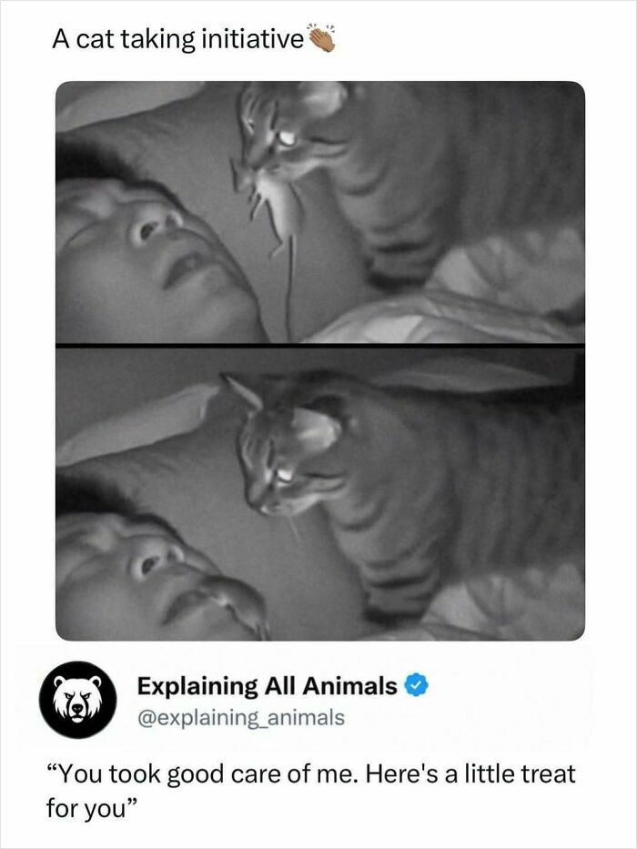 73 Animal Facts That Will Totally Blow Your Mind (No Joke)