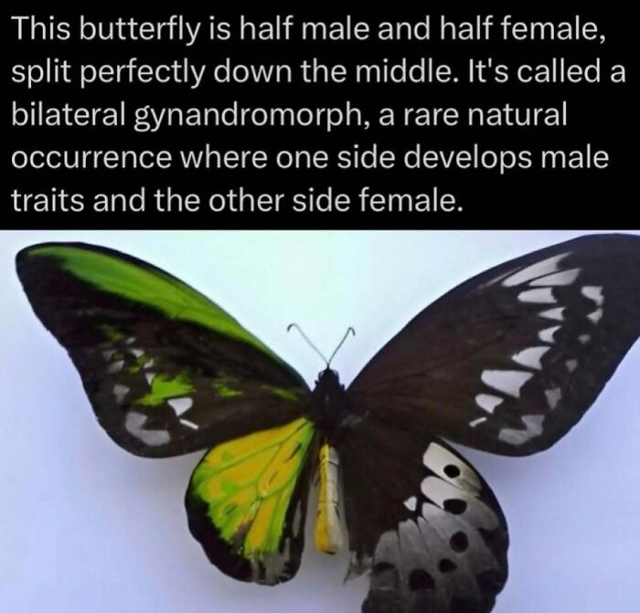 73 Animal Facts That Will Totally Blow Your Mind (No Joke)