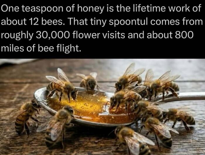 73 Animal Facts That Will Totally Blow Your Mind (No Joke)