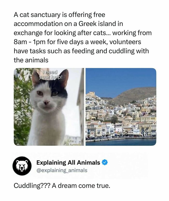 73 Animal Facts That Will Totally Blow Your Mind (No Joke)