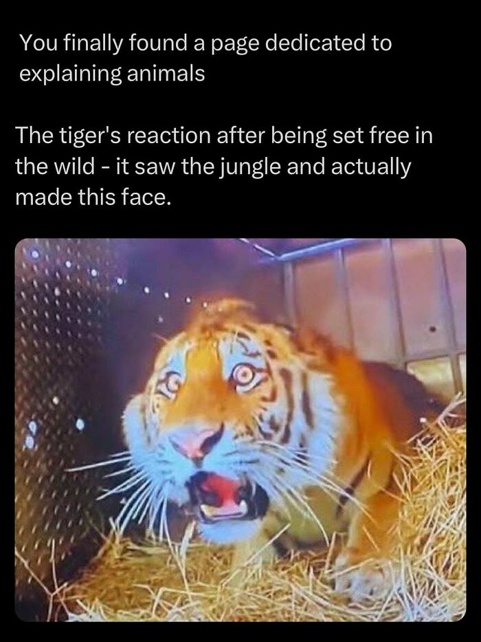 73 Animal Facts That Will Totally Blow Your Mind (No Joke)