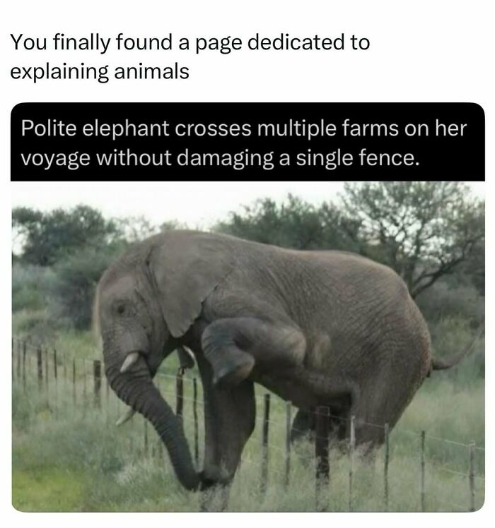 73 Animal Facts That Will Totally Blow Your Mind (No Joke)