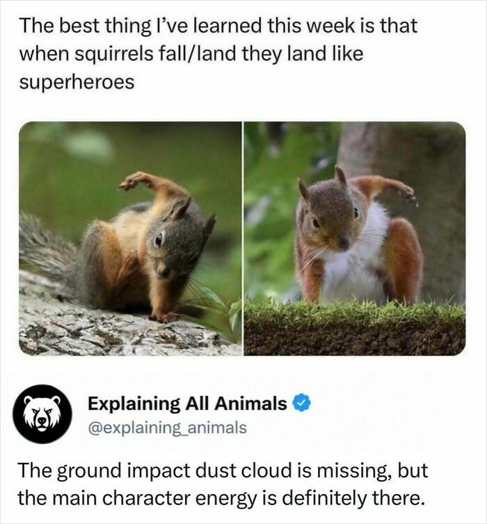 73 Animal Facts That Will Totally Blow Your Mind (No Joke)