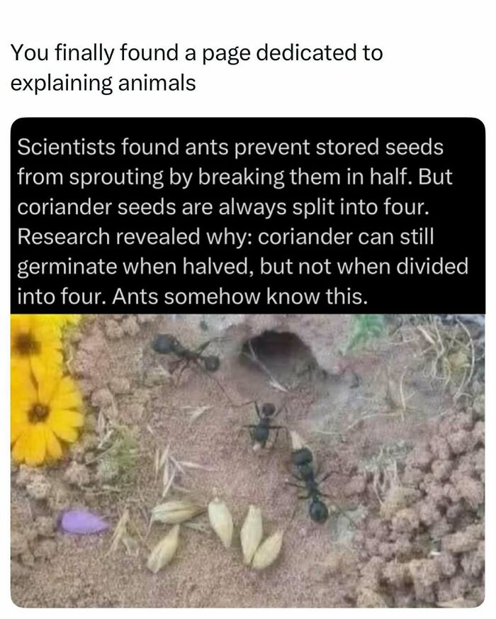 73 Animal Facts That Will Totally Blow Your Mind (No Joke)