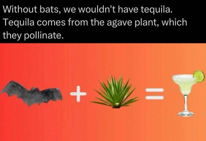 73 Animal Facts That Will Totally Blow Your Mind (No Joke)