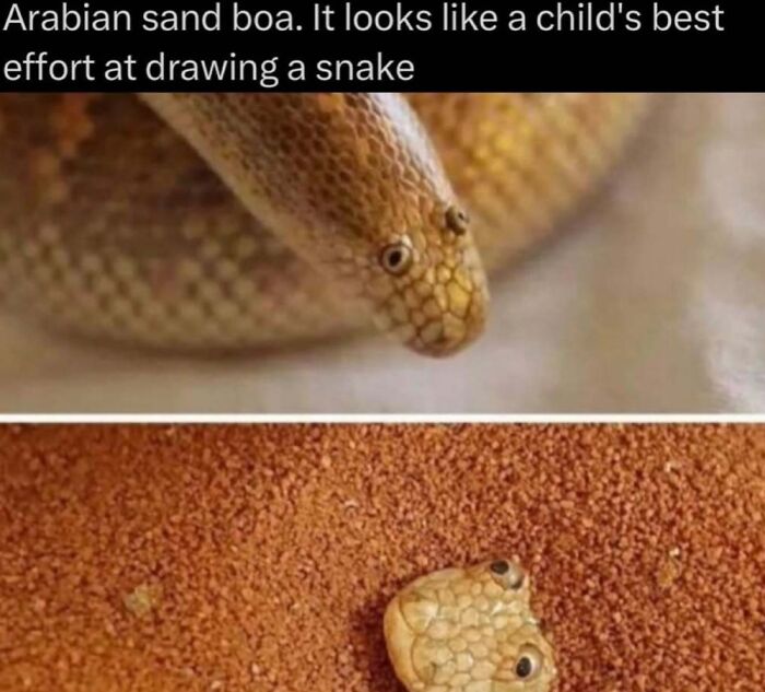 73 Animal Facts That Will Totally Blow Your Mind (No Joke)