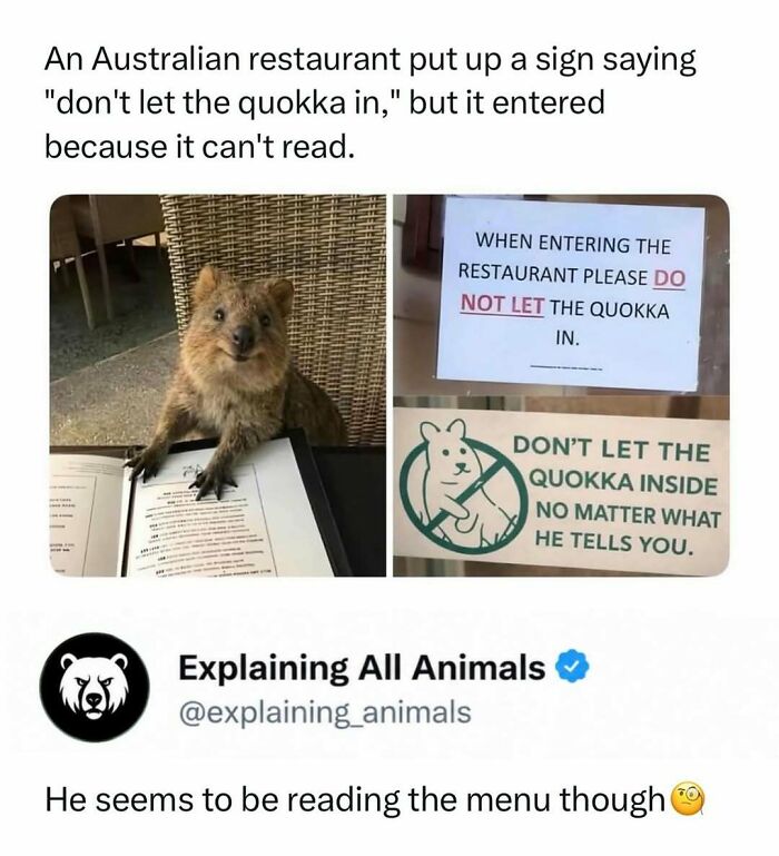 73 Animal Facts That Will Totally Blow Your Mind (No Joke)