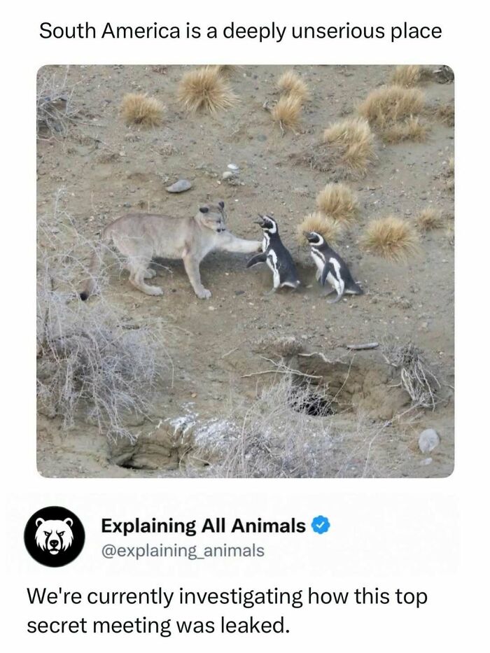 73 Animal Facts That Will Totally Blow Your Mind (No Joke)