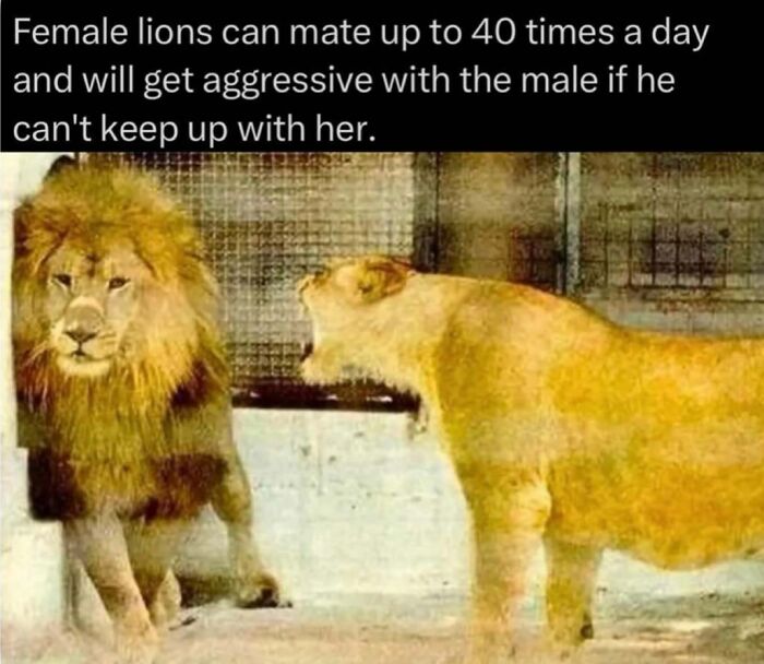73 Animal Facts That Will Totally Blow Your Mind (No Joke)