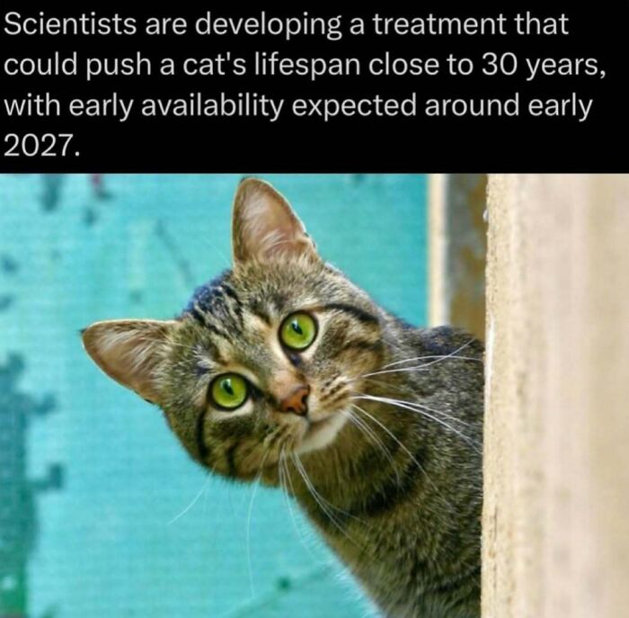 73 Animal Facts That Will Totally Blow Your Mind (No Joke)