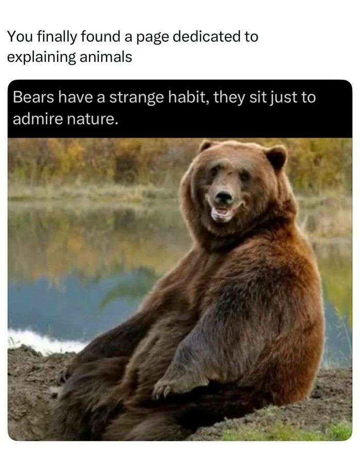 73 Animal Facts That Will Totally Blow Your Mind (No Joke)