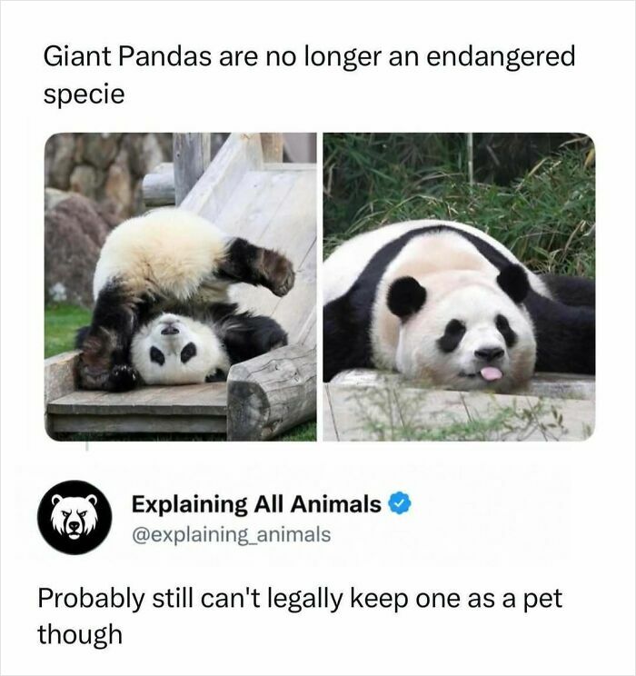 73 Animal Facts That Will Totally Blow Your Mind (No Joke)