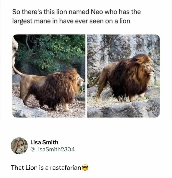 73 Animal Facts That Will Totally Blow Your Mind (No Joke)
