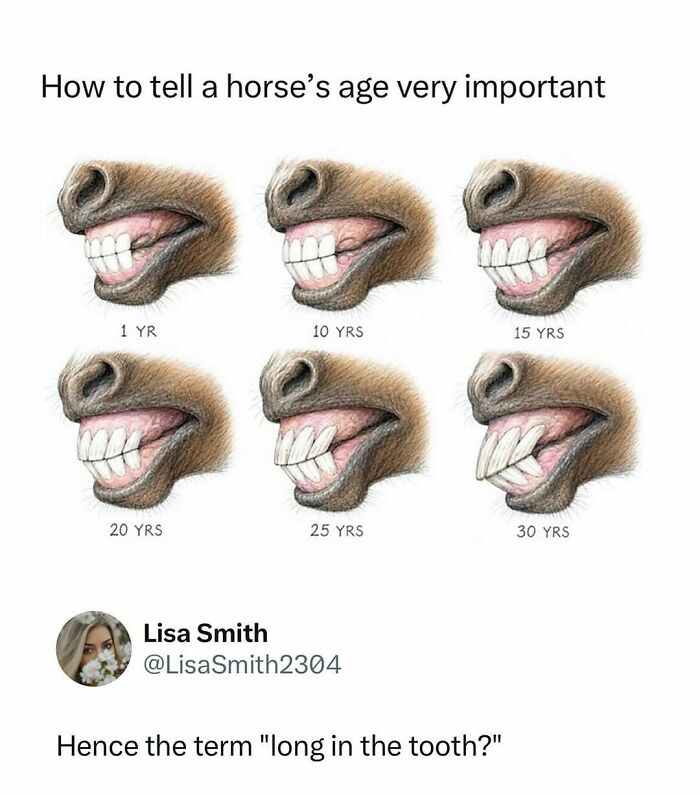 73 Animal Facts That Will Totally Blow Your Mind (No Joke)