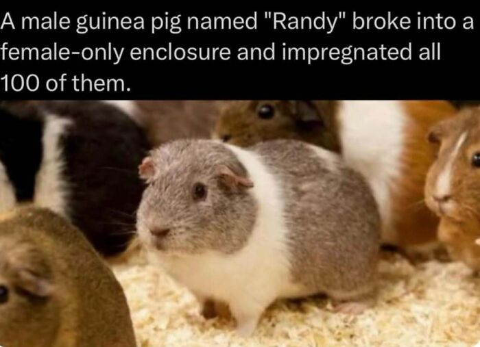 73 Animal Facts That Will Totally Blow Your Mind (No Joke)