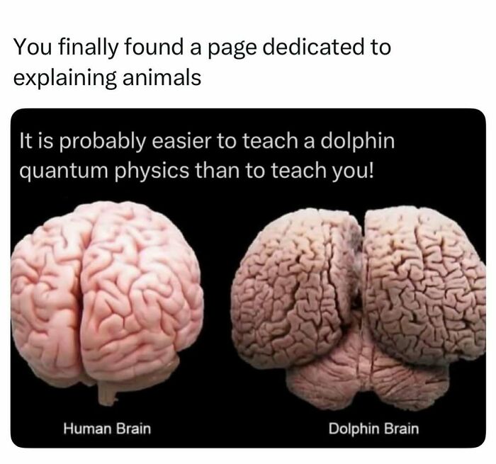 73 Animal Facts That Will Totally Blow Your Mind (No Joke)