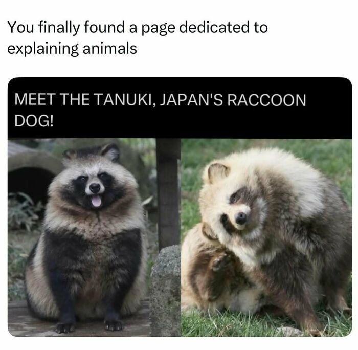 73 Animal Facts That Will Totally Blow Your Mind (No Joke)