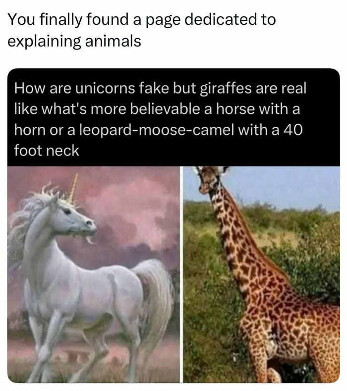 73 Animal Facts That Will Totally Blow Your Mind (No Joke)