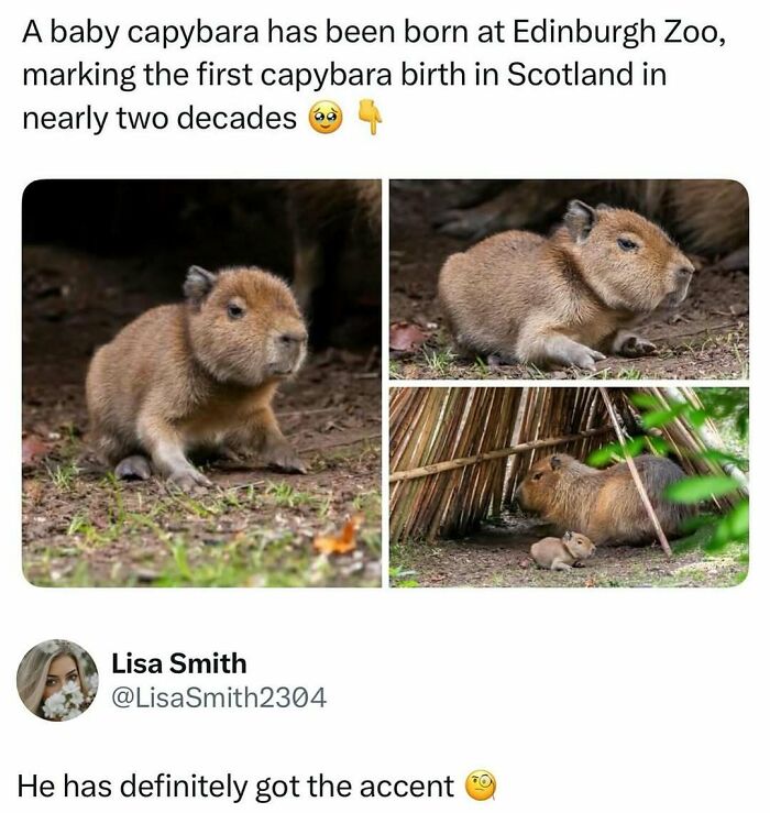 73 Animal Facts That Will Totally Blow Your Mind (No Joke)