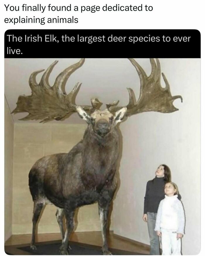 73 Animal Facts That Will Totally Blow Your Mind (No Joke)
