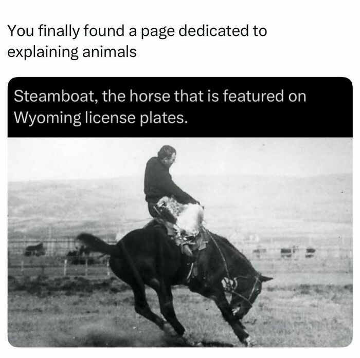 73 Animal Facts That Will Totally Blow Your Mind (No Joke)
