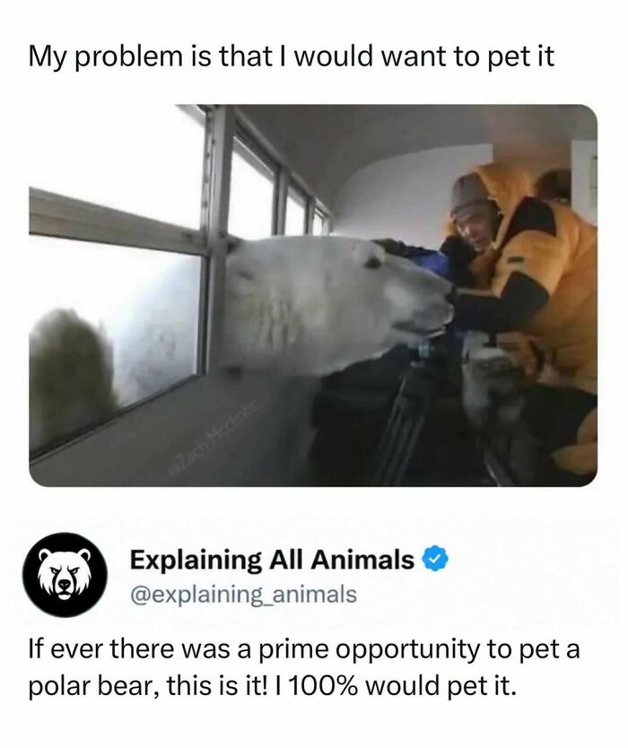 73 Animal Facts That Will Totally Blow Your Mind (No Joke)