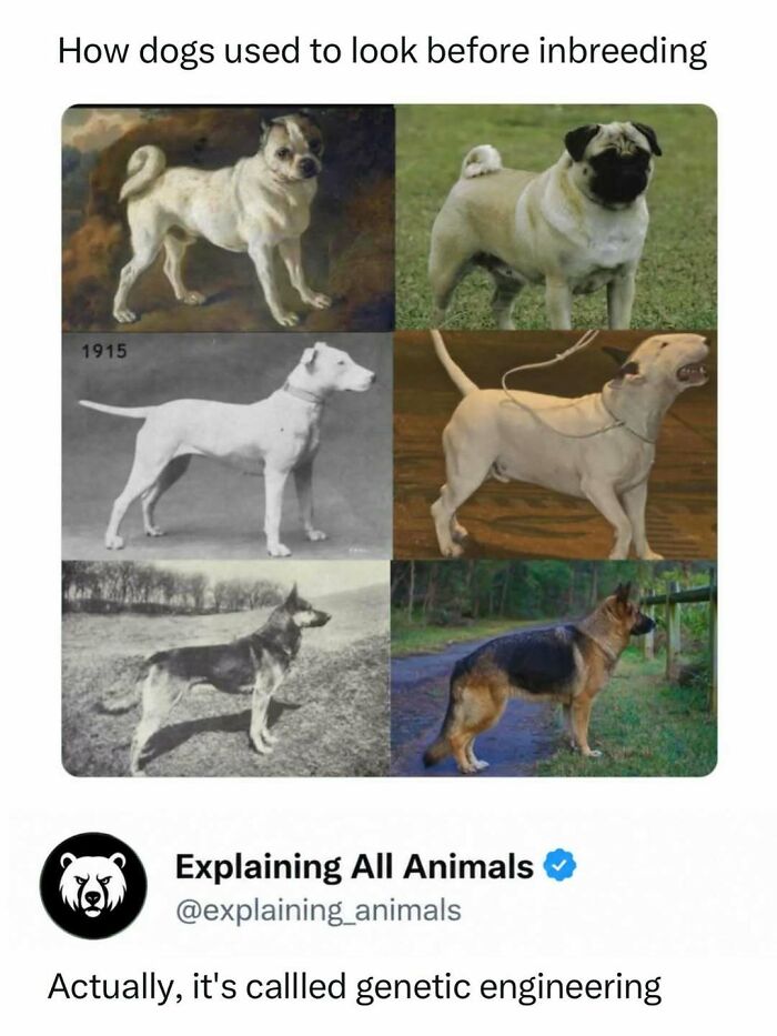 73 Animal Facts That Will Totally Blow Your Mind (No Joke)